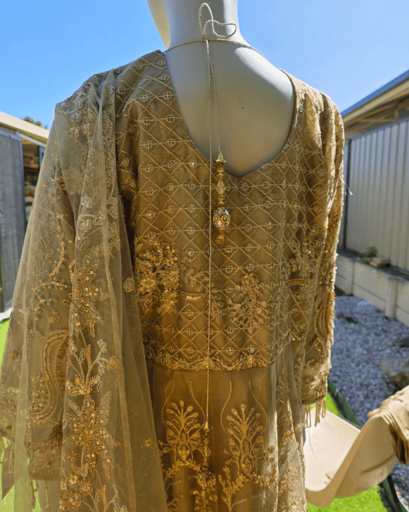 Chic Beige Pakistani Gown with Dupatta