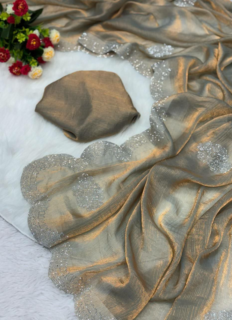 Grey Two-Tone Chiffon Tissue Saree – Crystal Work Panel with Running Blouse