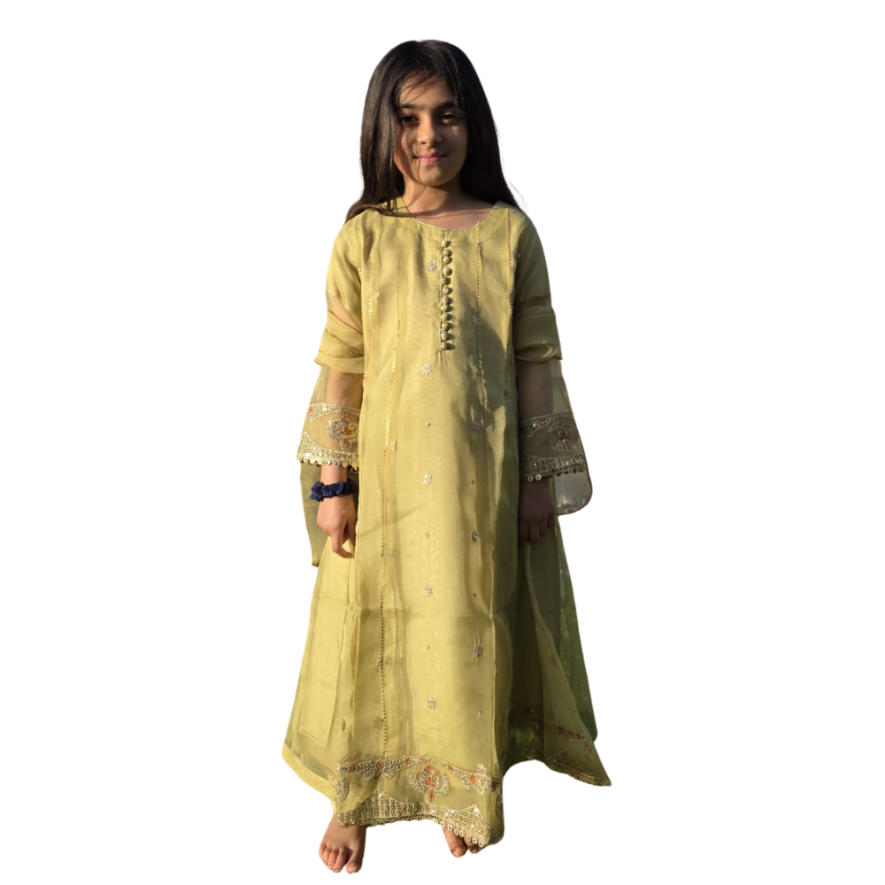 Twirl-Ready Kids Anarkali Gown in Pesta Green – Chiffon