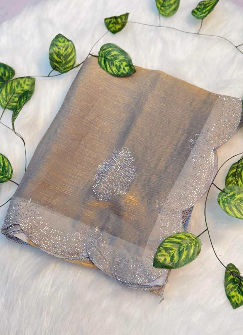 Grey Two-Tone Chiffon Tissue Saree – Crystal Work Panel with Running Blouse