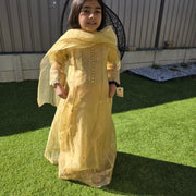Beige Organza Kids Anarkali Dress – Elegant Ethnic Wear 8