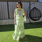Paste Organza Kids Lehenga – Ethnic Elegance 7