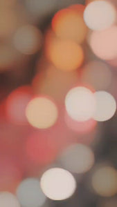 Pakistani Bandhini Chiffon Suit – Pink & Green Gota Patti Elegance